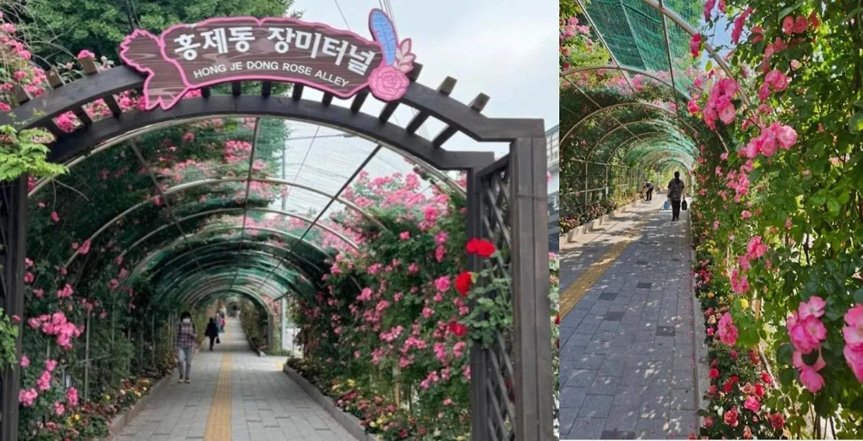 Apartment Stay Yeo Yu Seoul South Korea